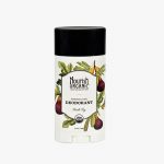 Pellentesque Felis.