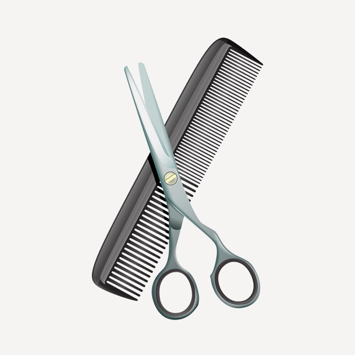 Quisque volutpat mattis